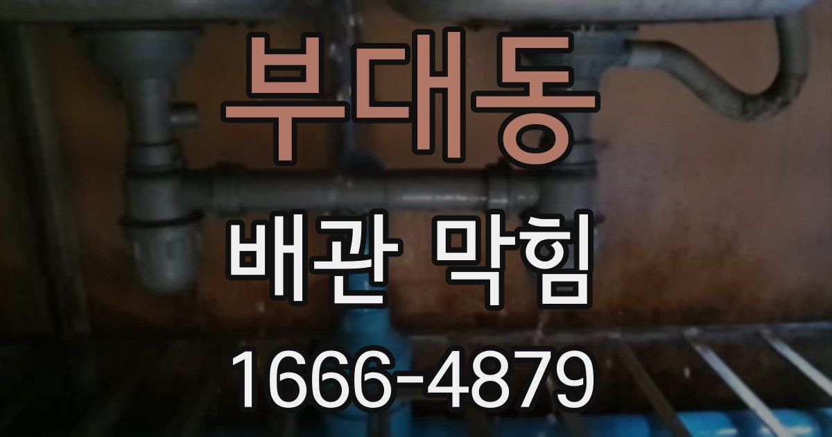 부대동 배관 막힘