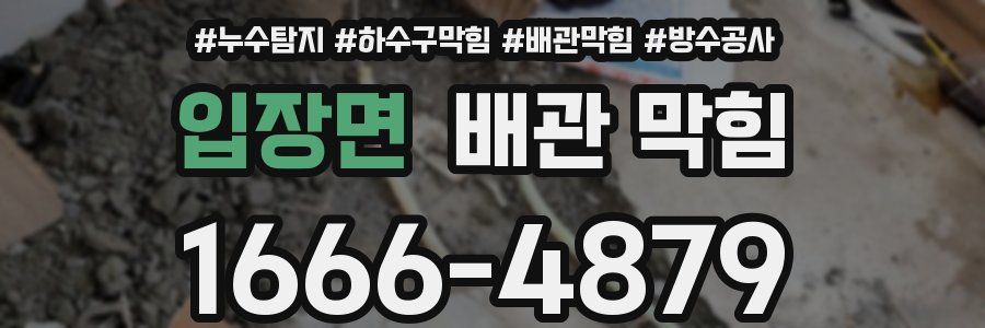 입장면 배관 막힘