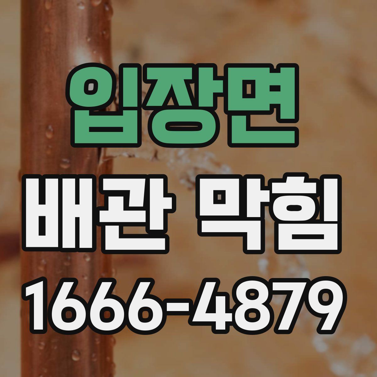 입장면 배관 막힘