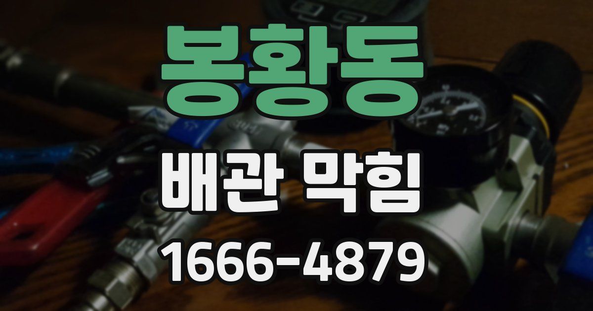 봉황동 배관 막힘