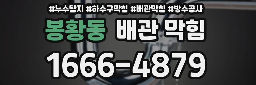 봉황동 배관 막힘