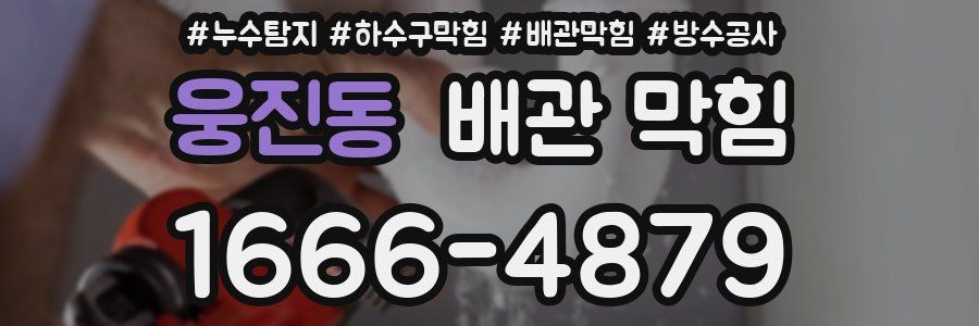 웅진동 배관 막힘