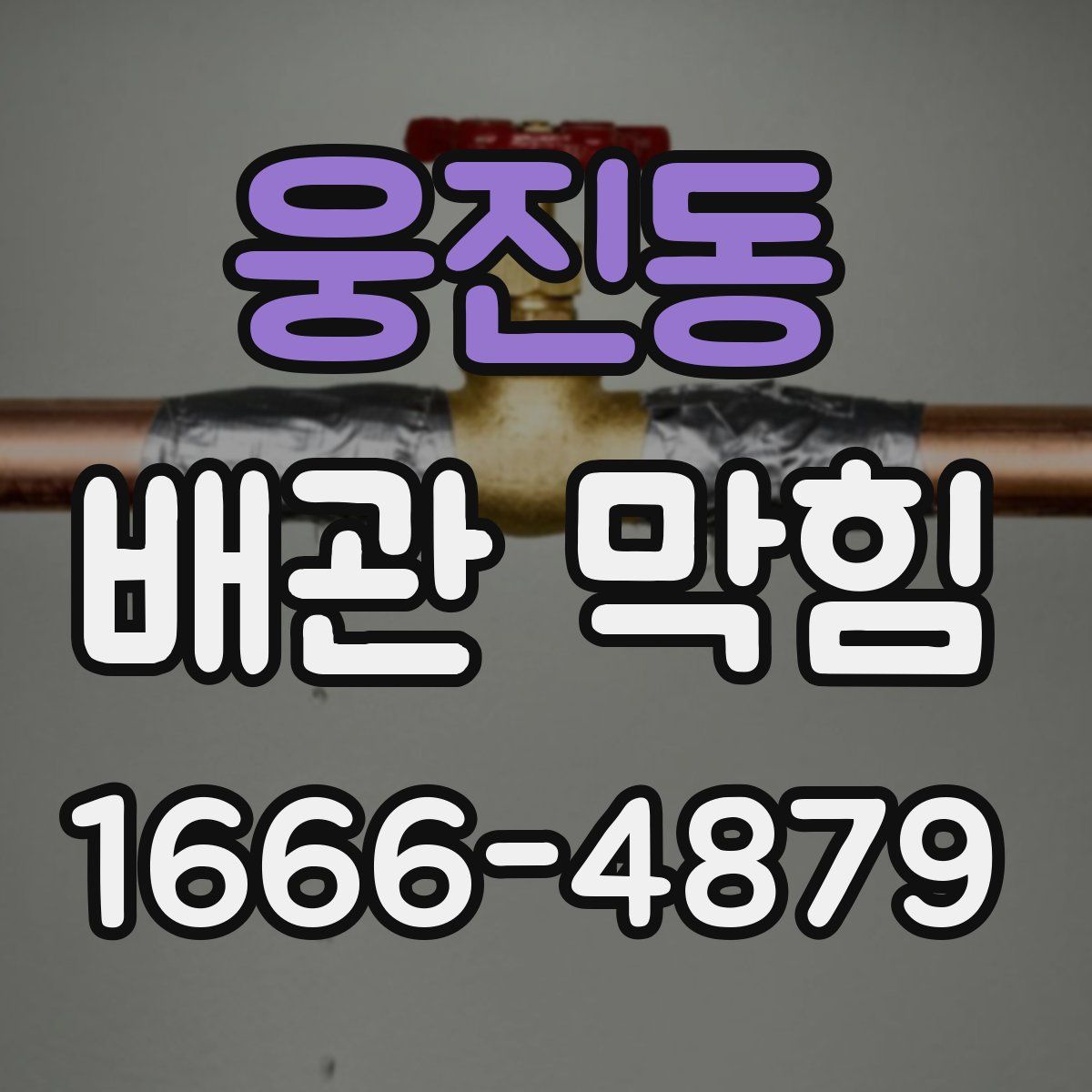 웅진동 배관 막힘