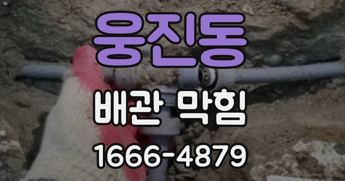 웅진동 배관 막힘