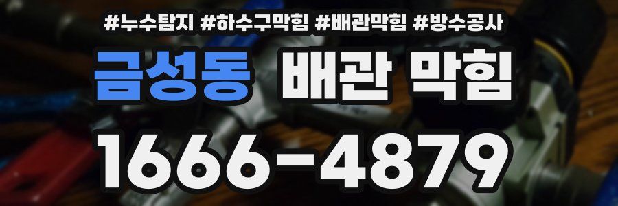 금성동 배관 막힘