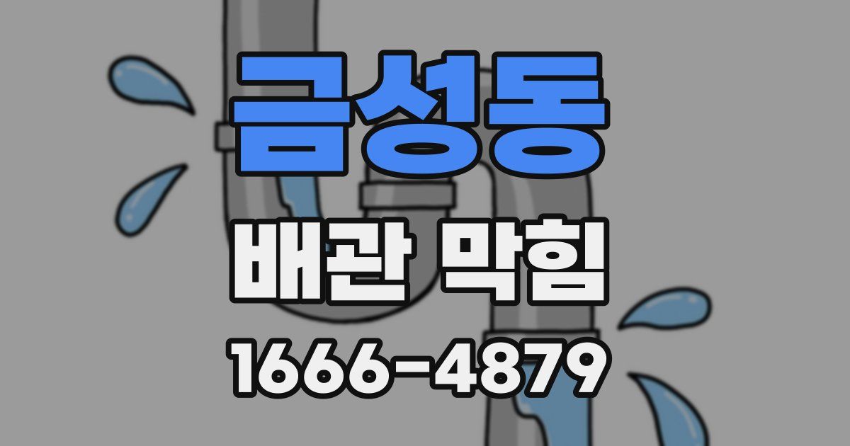 금성동 배관 막힘