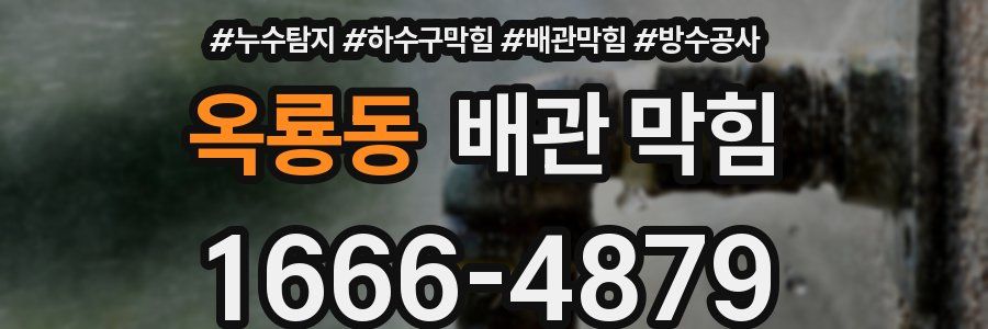 옥룡동 배관 막힘