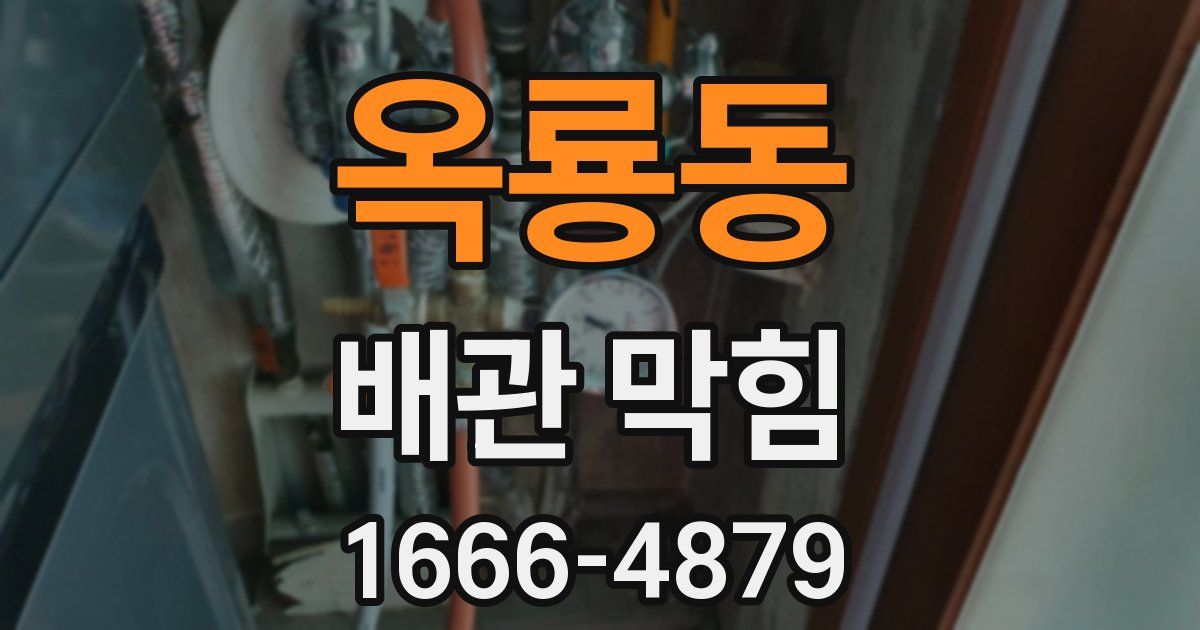 옥룡동 배관 막힘