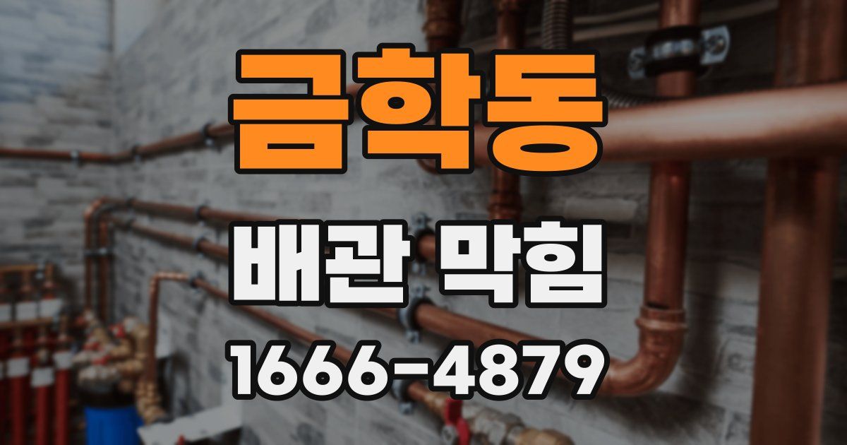 금학동 배관 막힘