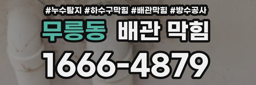 무릉동 배관 막힘