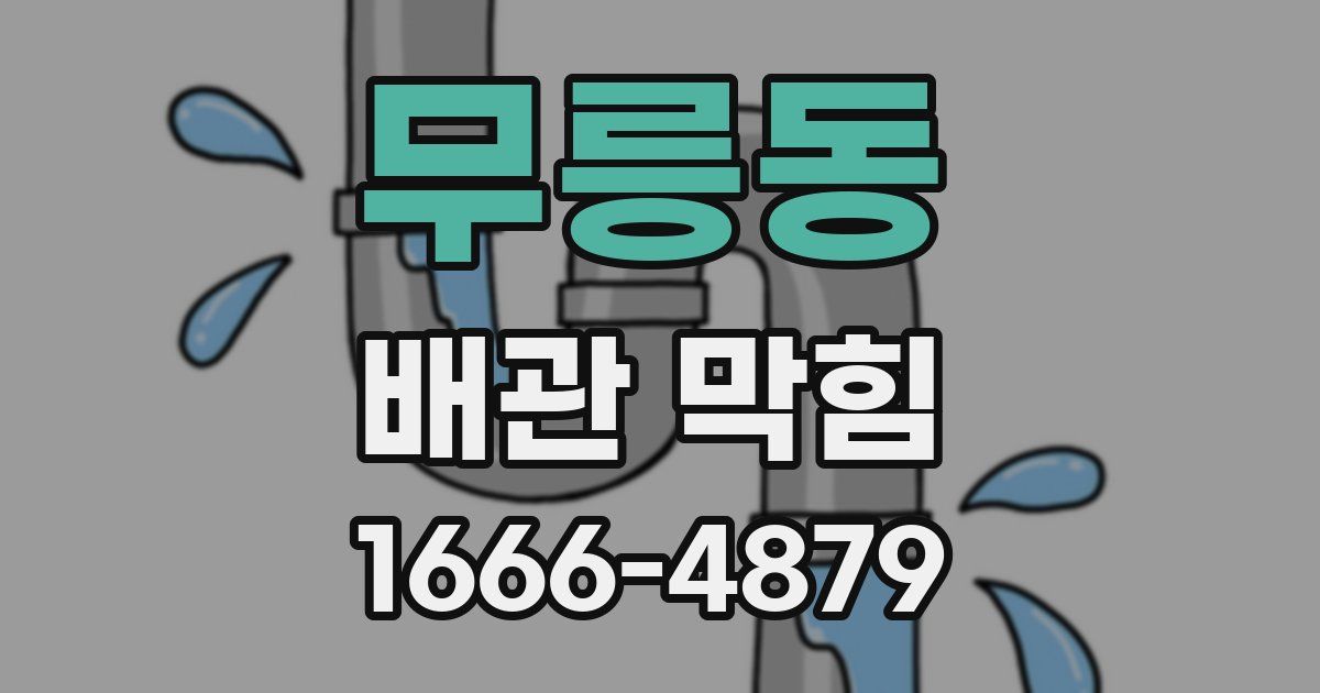 무릉동 배관 막힘