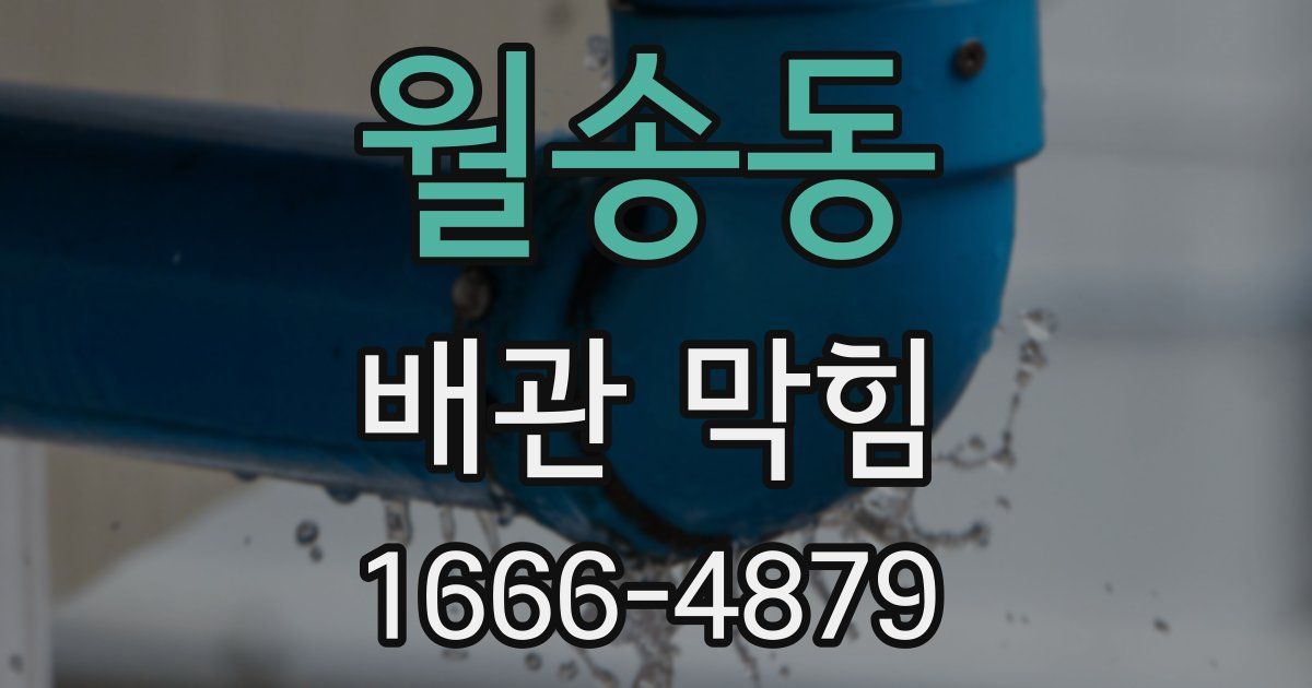 월송동 배관 막힘