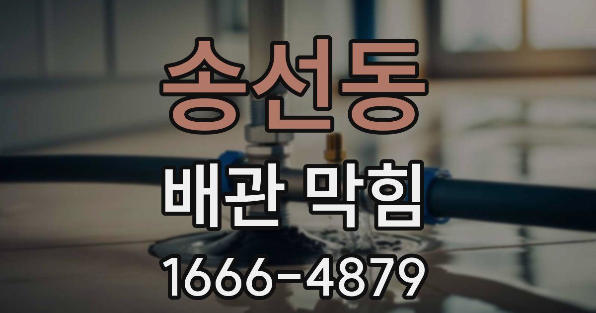 송선동 배관 막힘