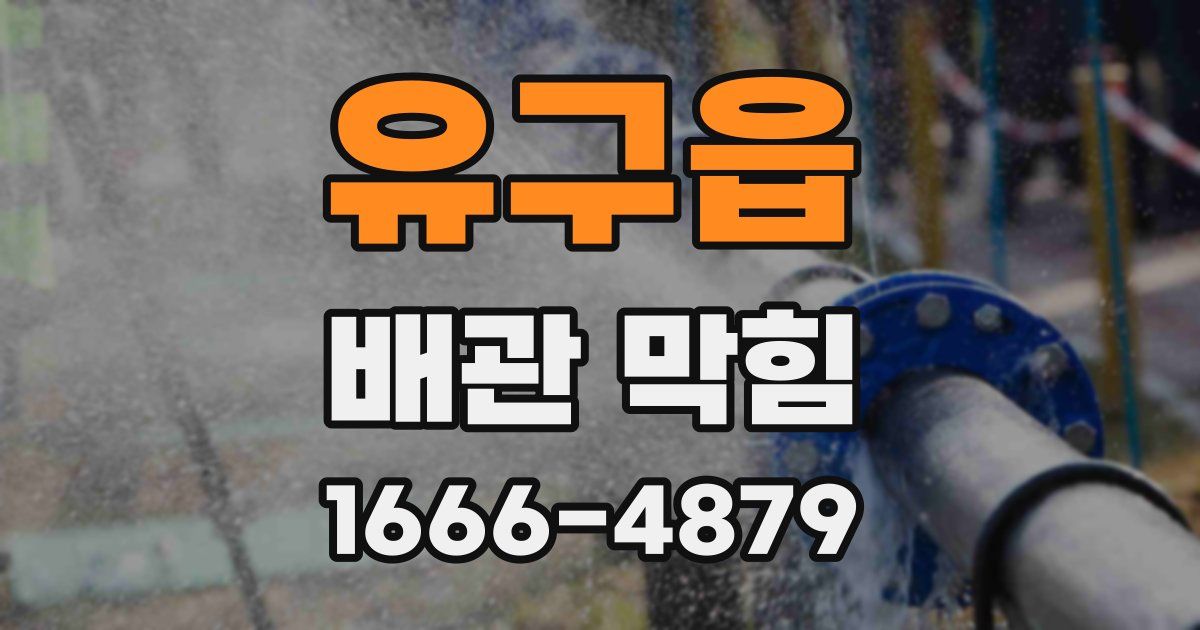 유구읍 배관 막힘