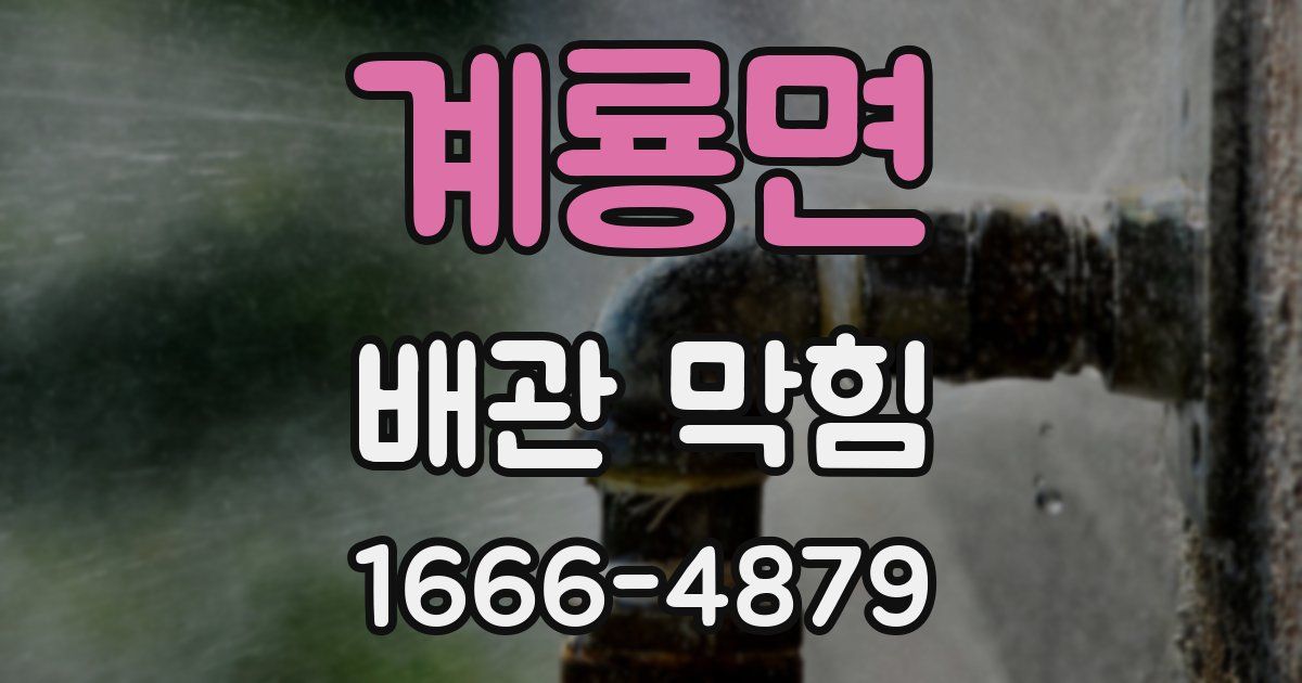 계룡면 배관 막힘