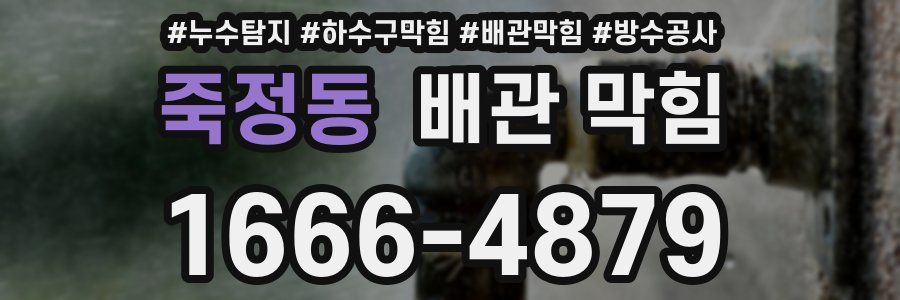 죽정동 배관 막힘