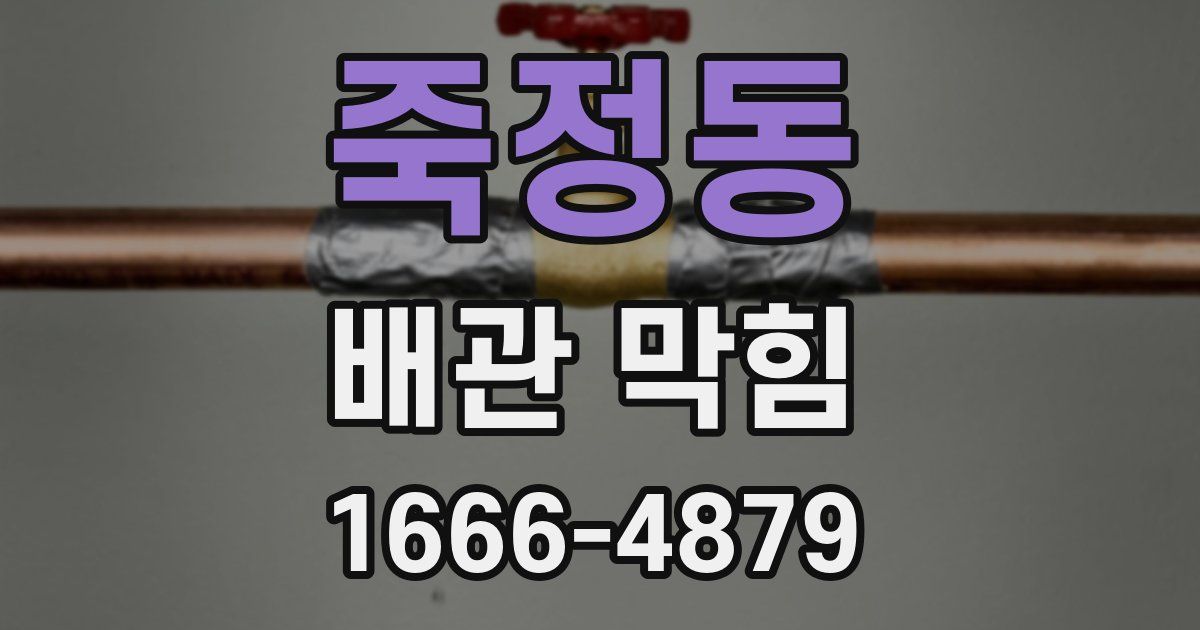 죽정동 배관 막힘