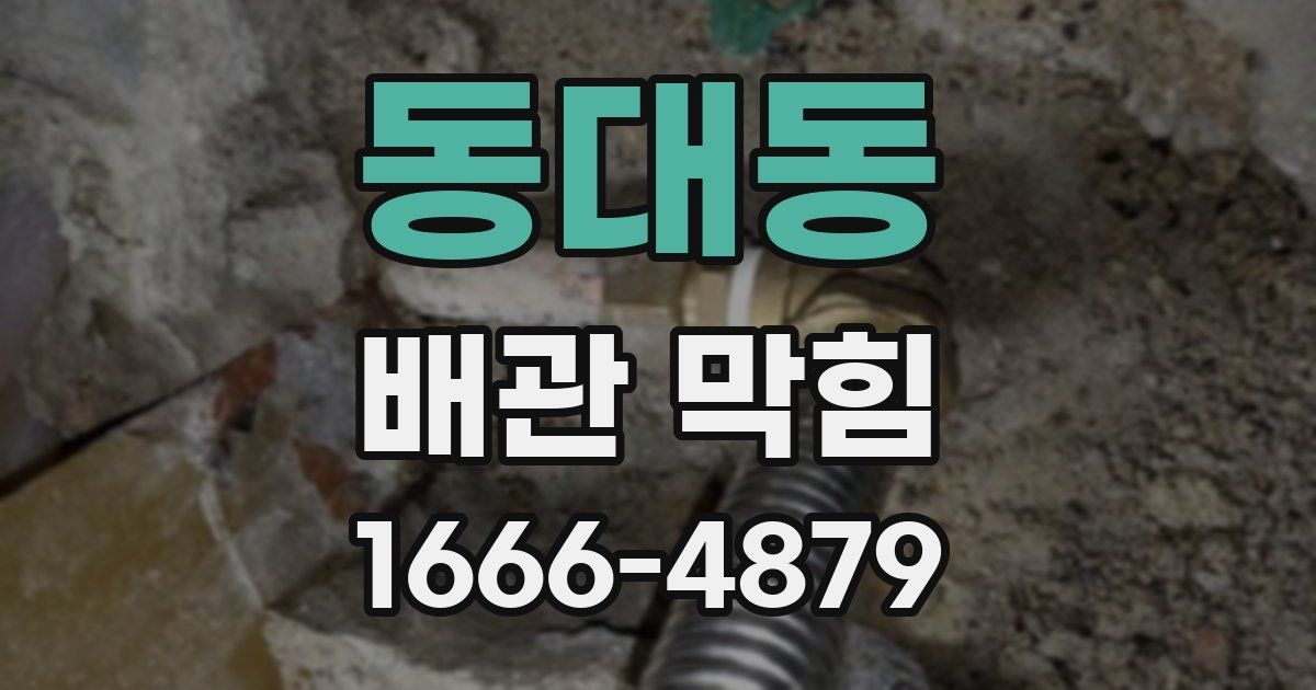 동대동 배관 막힘