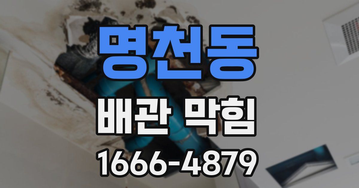 명천동 배관 막힘