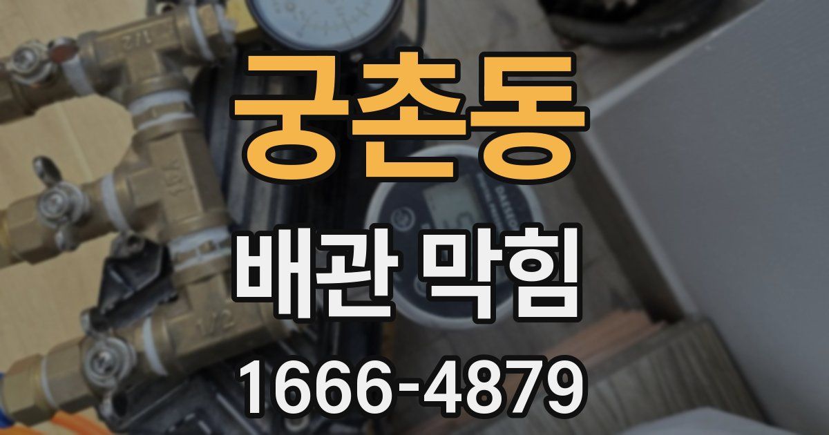 궁촌동 배관 막힘