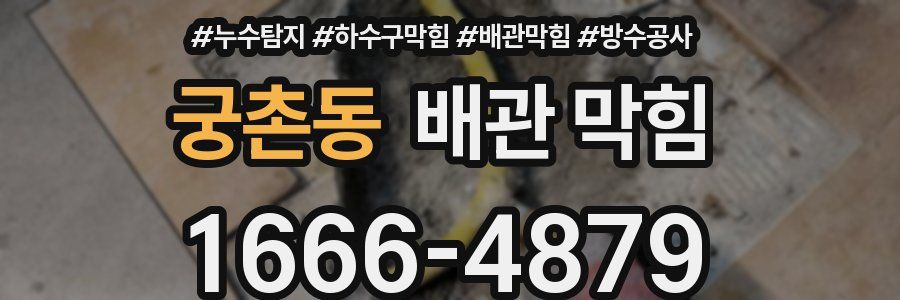 궁촌동 배관 막힘