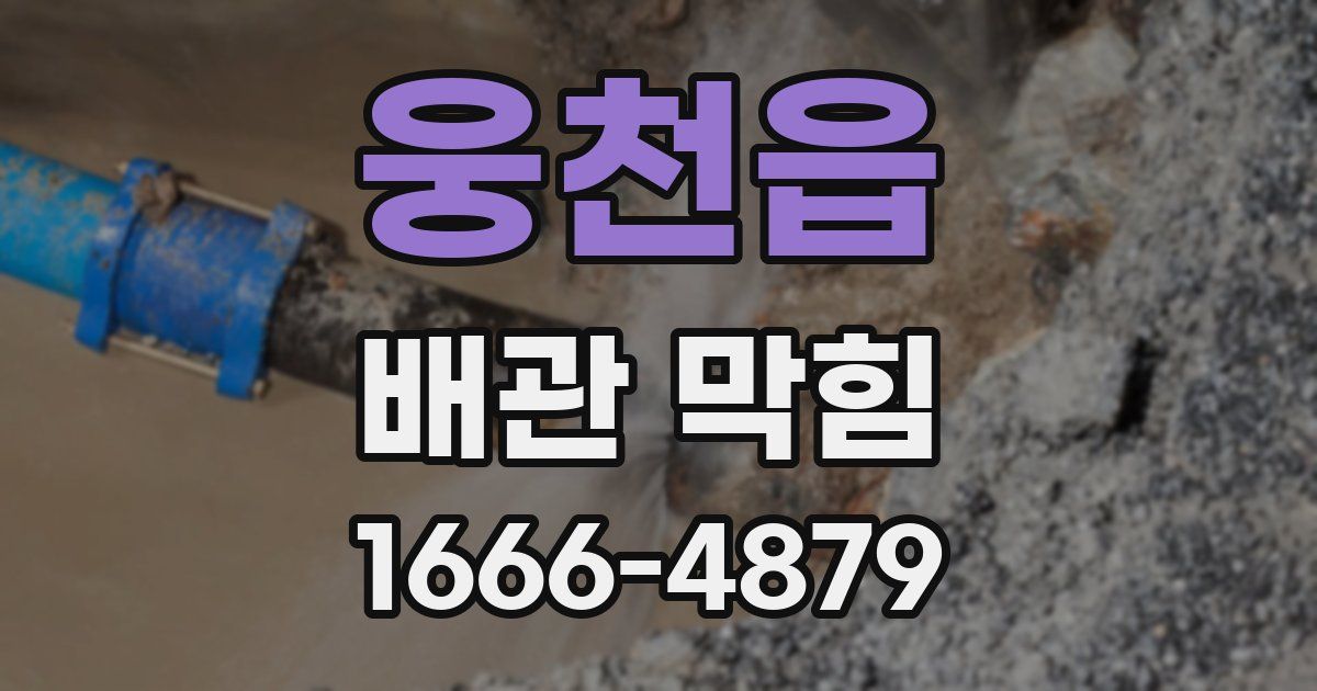 웅천읍 배관 막힘