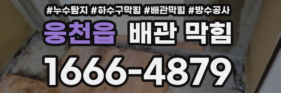 웅천읍 배관 막힘
