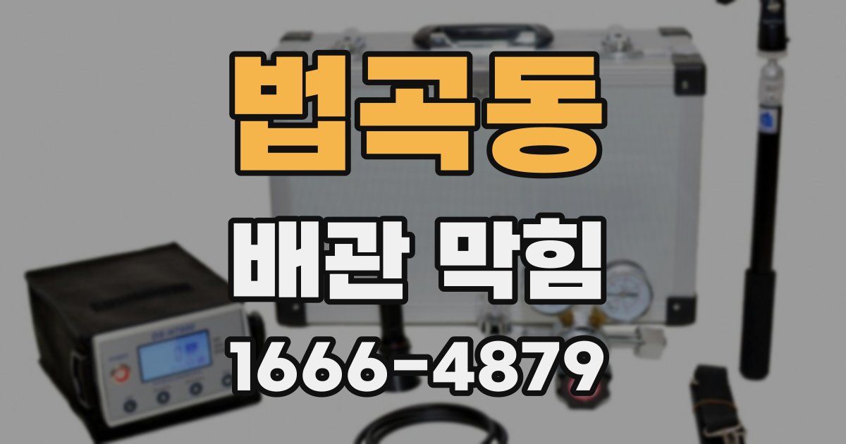 법곡동 배관 막힘