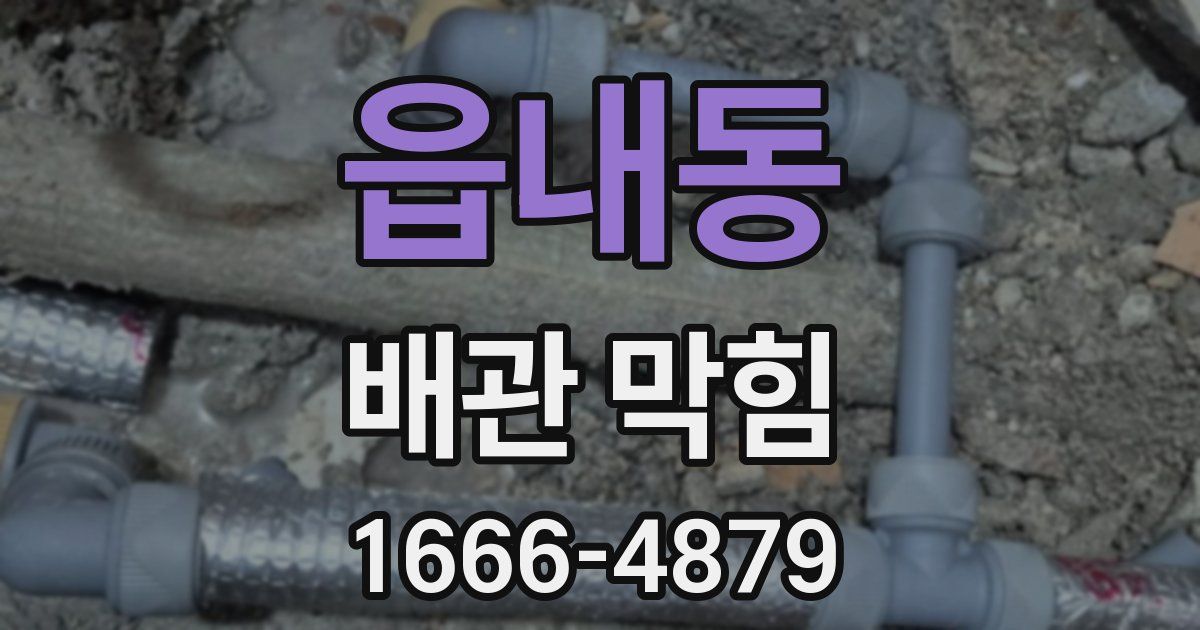 읍내동 배관 막힘