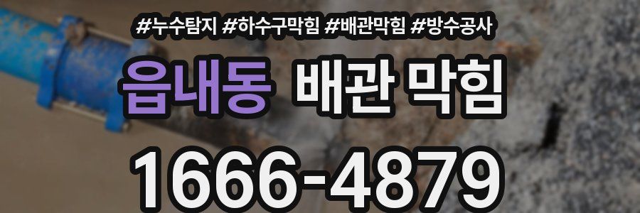 읍내동 배관 막힘