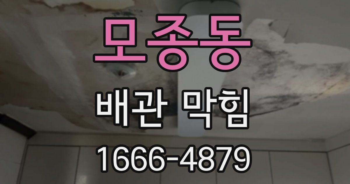 모종동 배관 막힘