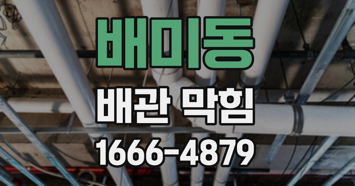 배미동 배관 막힘