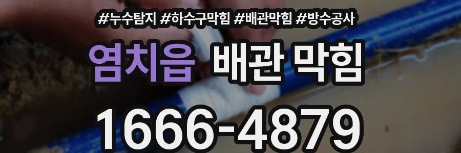 염치읍 배관 막힘