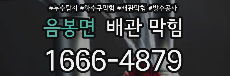 음봉면 배관 막힘