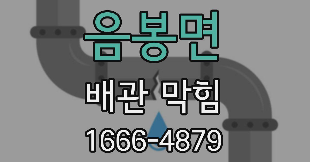 음봉면 배관 막힘