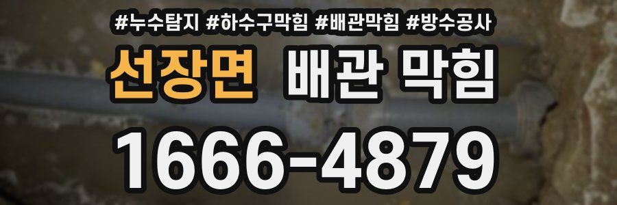 선장면 배관 막힘