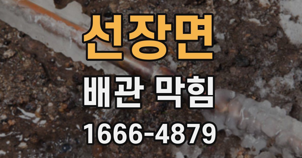 선장면 배관 막힘