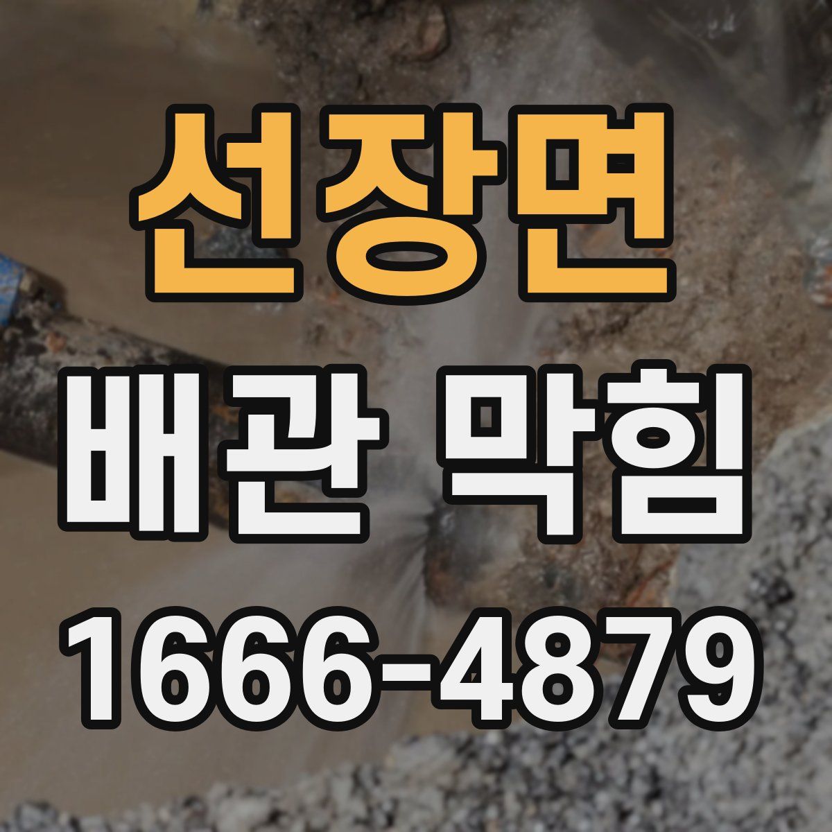 선장면 배관 막힘
