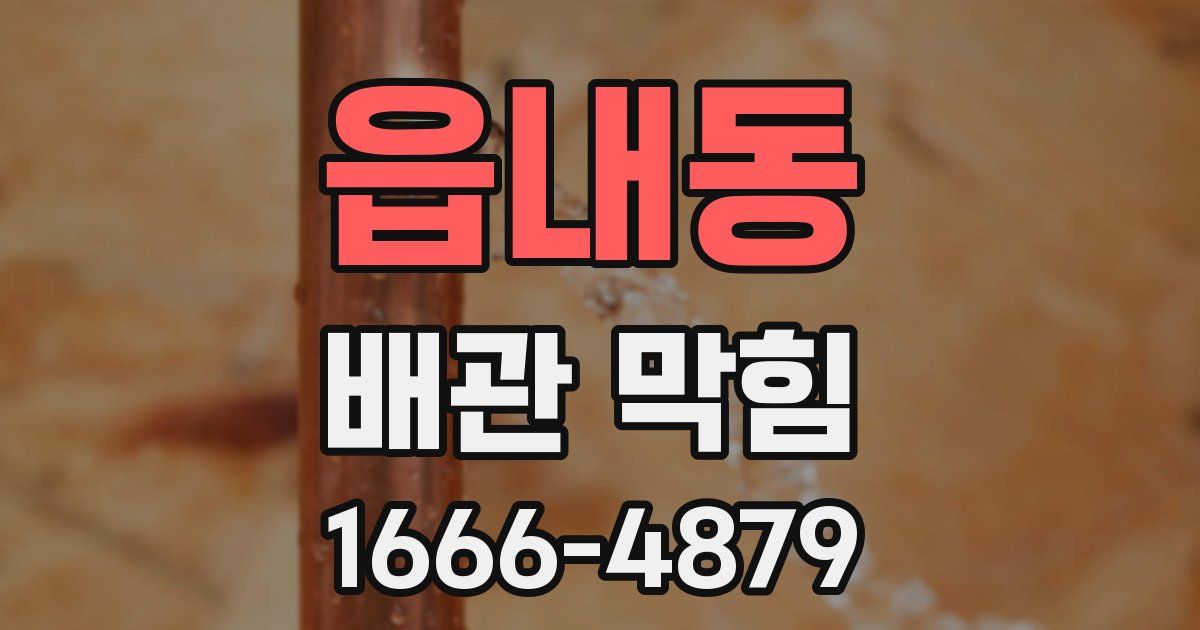 읍내동 배관 막힘