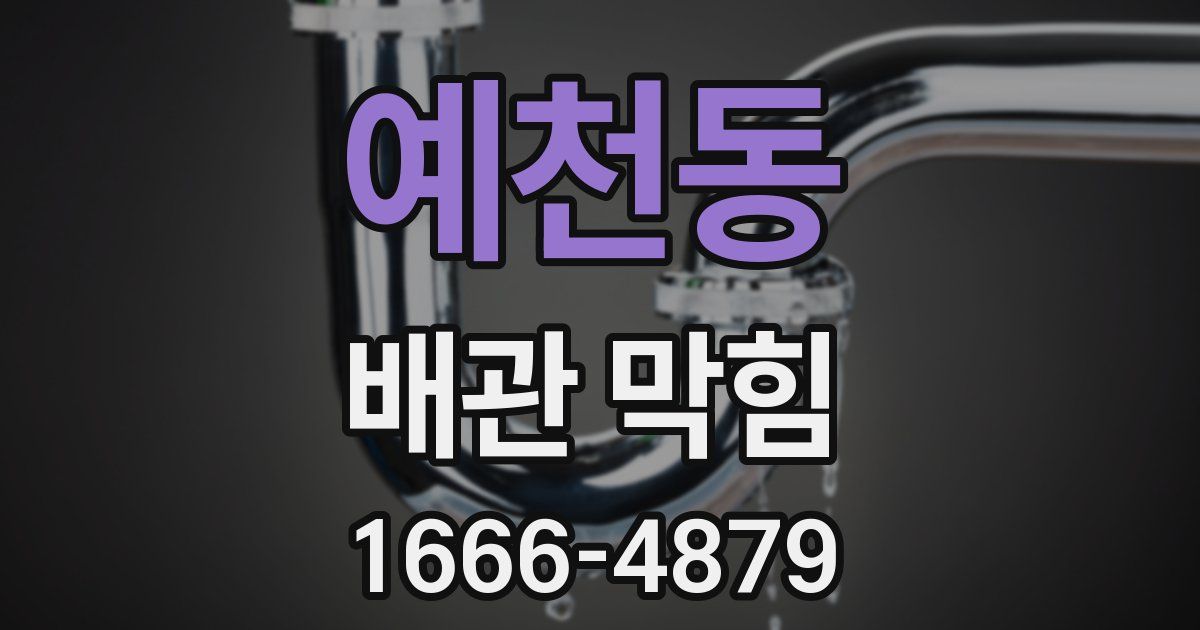예천동 배관 막힘