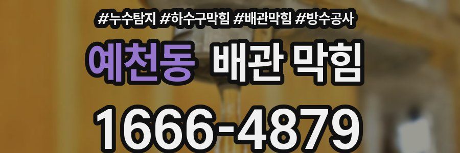 예천동 배관 막힘