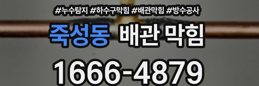 죽성동 배관 막힘
