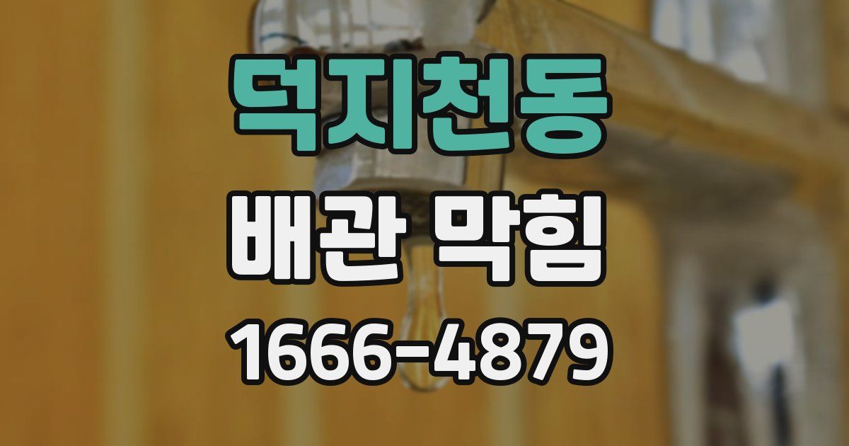 덕지천동 배관 막힘