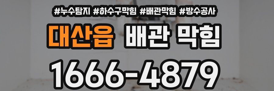 대산읍 배관 막힘