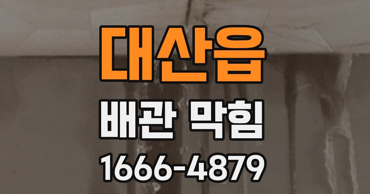 대산읍 배관 막힘