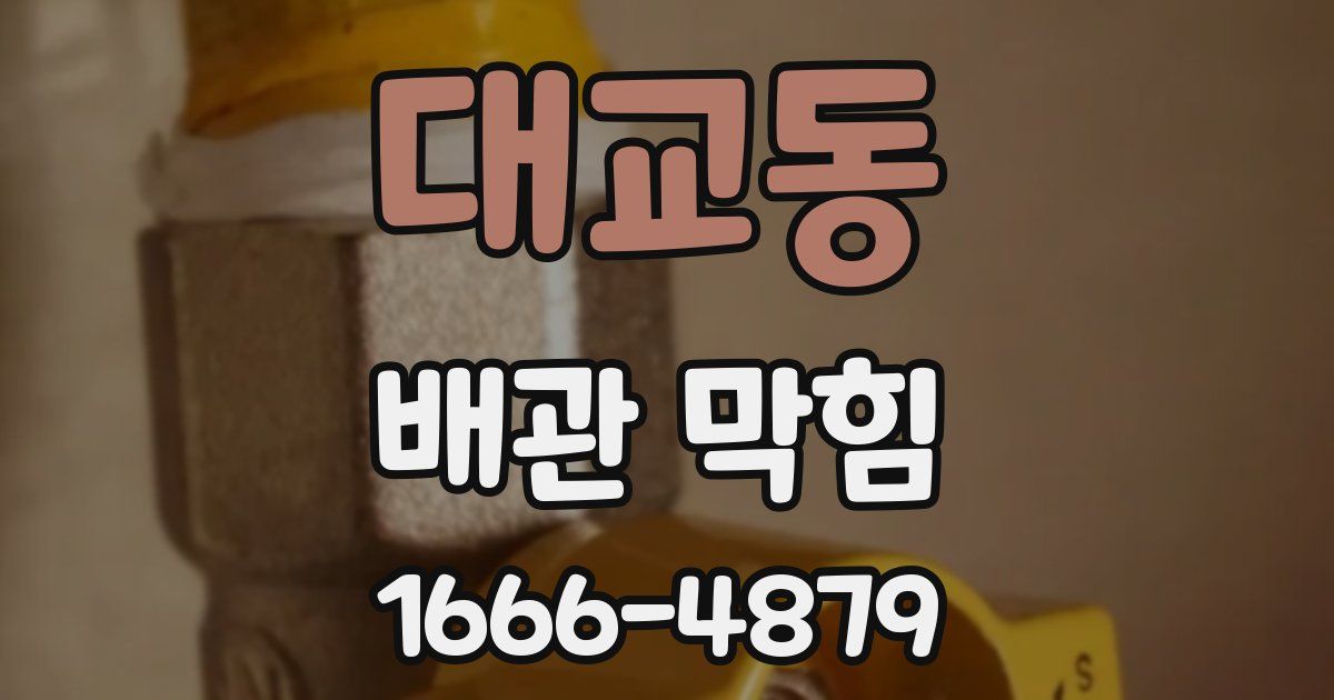 대교동 배관 막힘