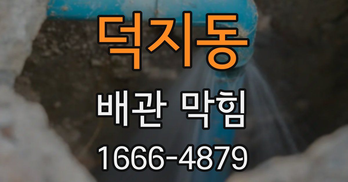 덕지동 배관 막힘
