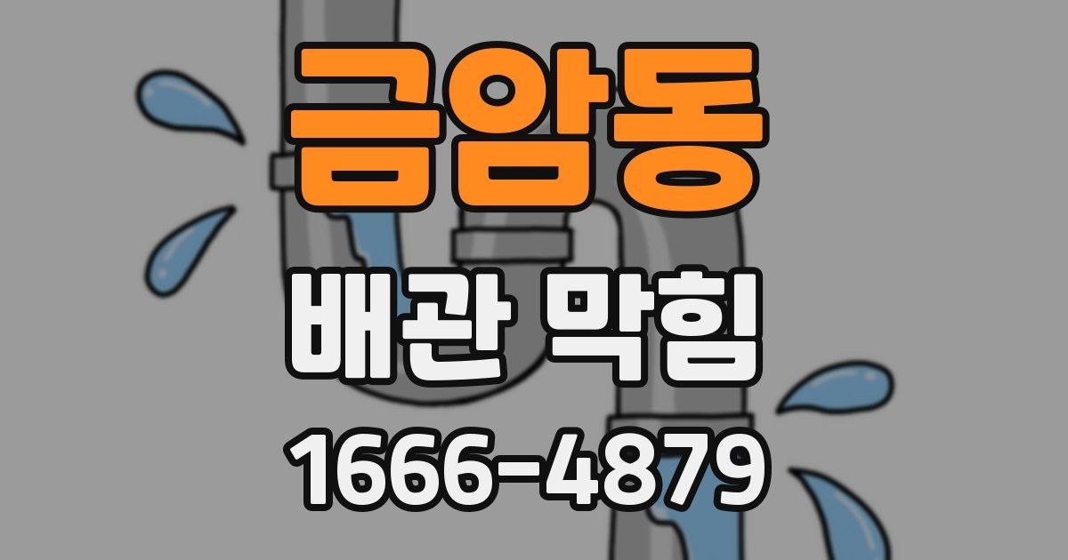 금암동 배관 막힘