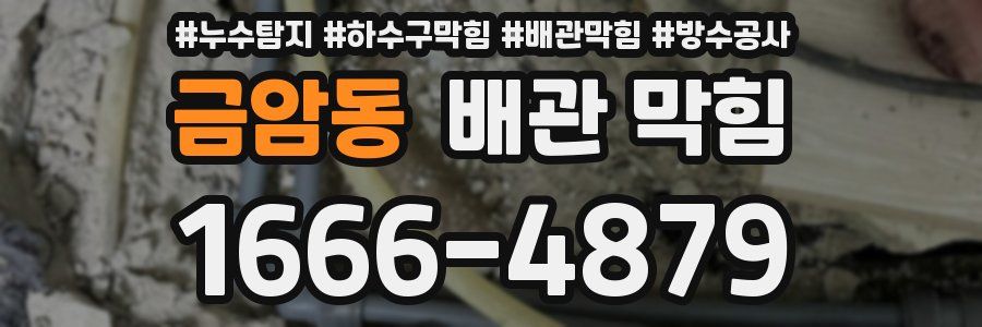 금암동 배관 막힘