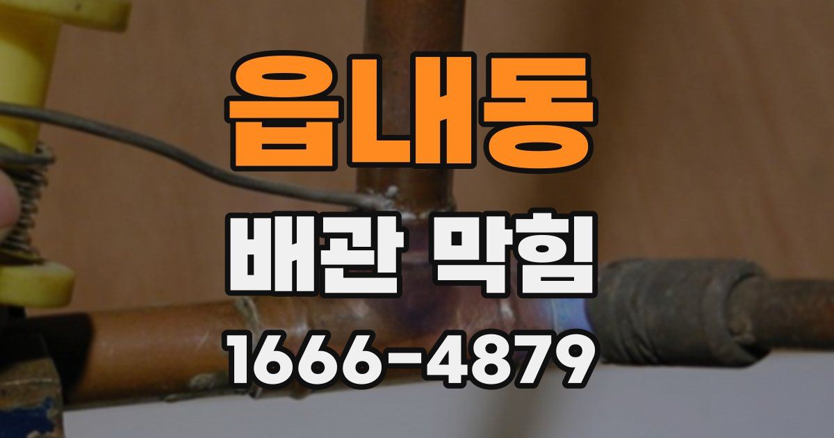 읍내동 배관 막힘